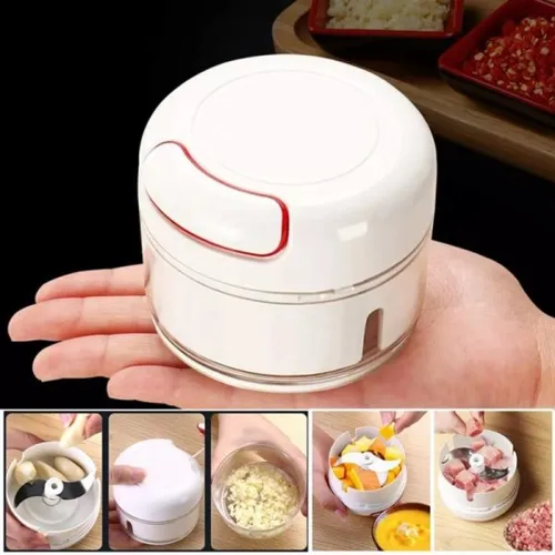 Mini Meat & Veggie Chopper